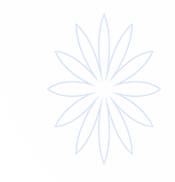 IM体育-IM体育官方网站